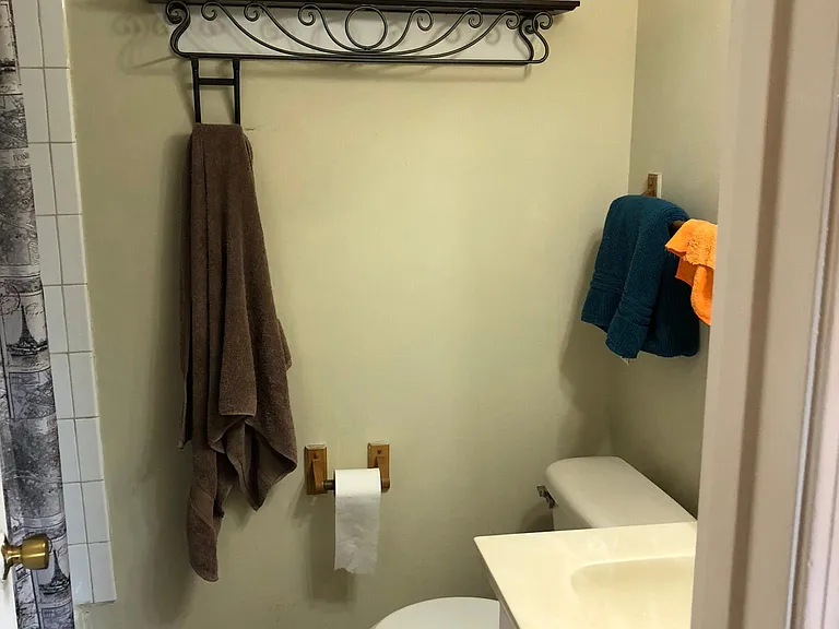 707 E Falcon Dr #110 — Photo 10