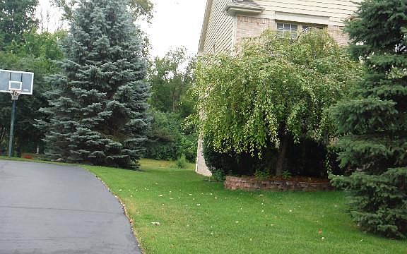 3rd image of 39800 Woodside Dr S #87