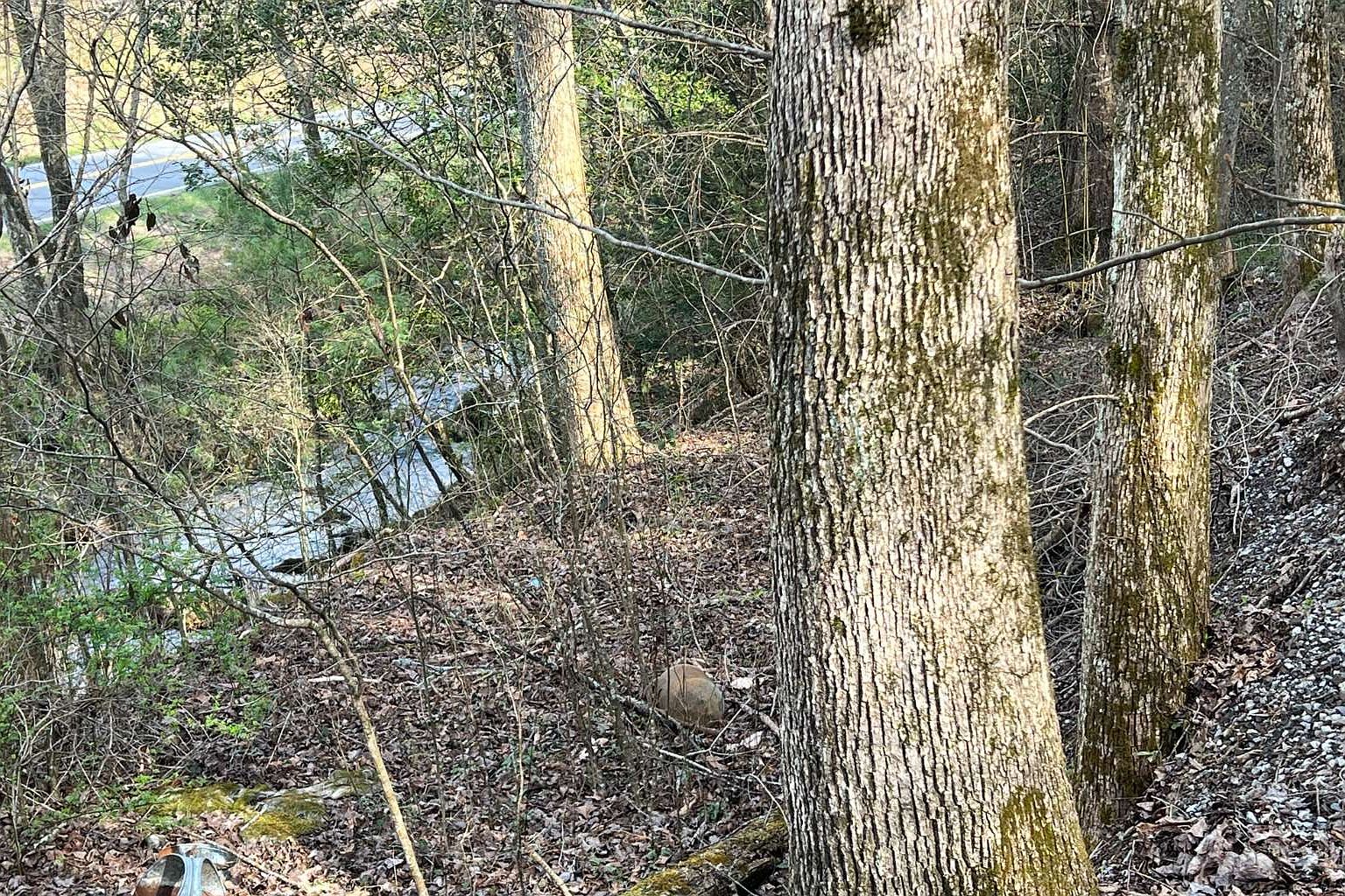 170 Old Ducktown Rd, Turtletown, TN 37391 MLS 330327 Zillow