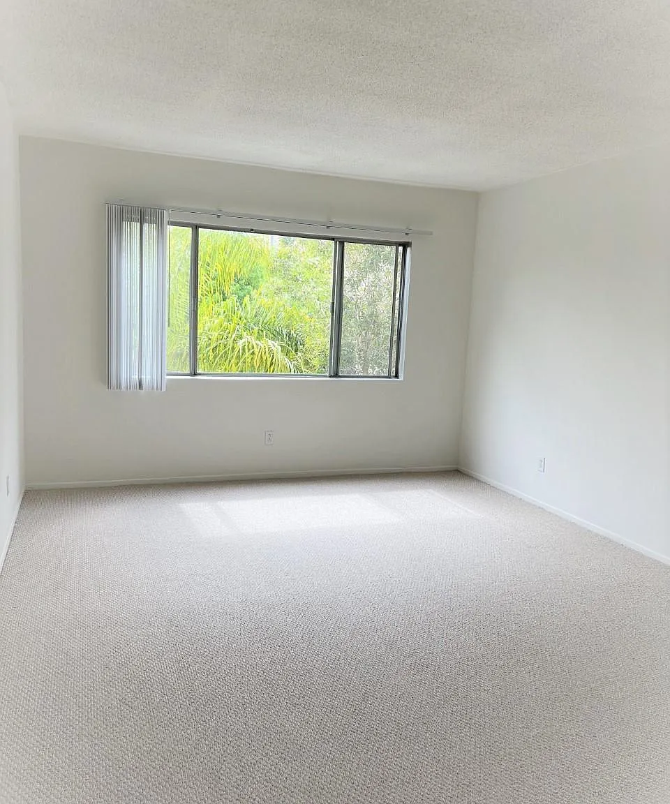 2 bed, $3,500 — Photo 4