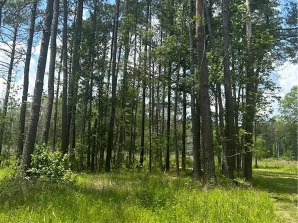 Blackcat Rd, Tickfaw, LA 70466