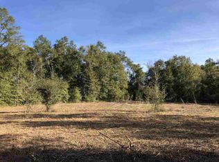 Vacant Ne Reagan Rd, Madison, FL 32340