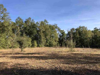 Vacant Ne Reagan Rd, Madison, FL, 32340