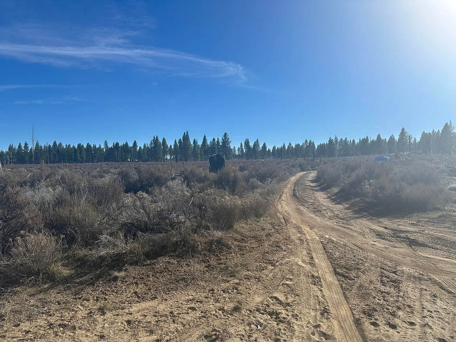 Ruffed Grouse Ln #Tl-02000 photo 1