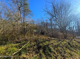 Wolfenbarger Ln, Luttrell, TN 37779