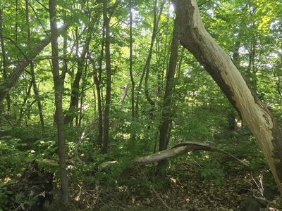 Xx South St #4, Bayfield, WI, 54814