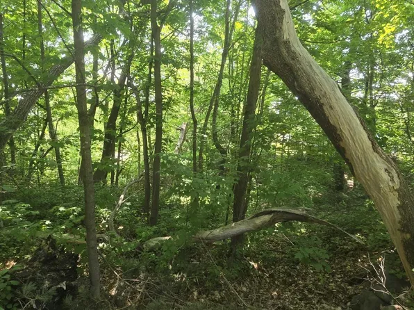 Xx South St #4, Bayfield, WI 54814