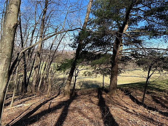 4th image of 0 Lake Wilhelm Rd