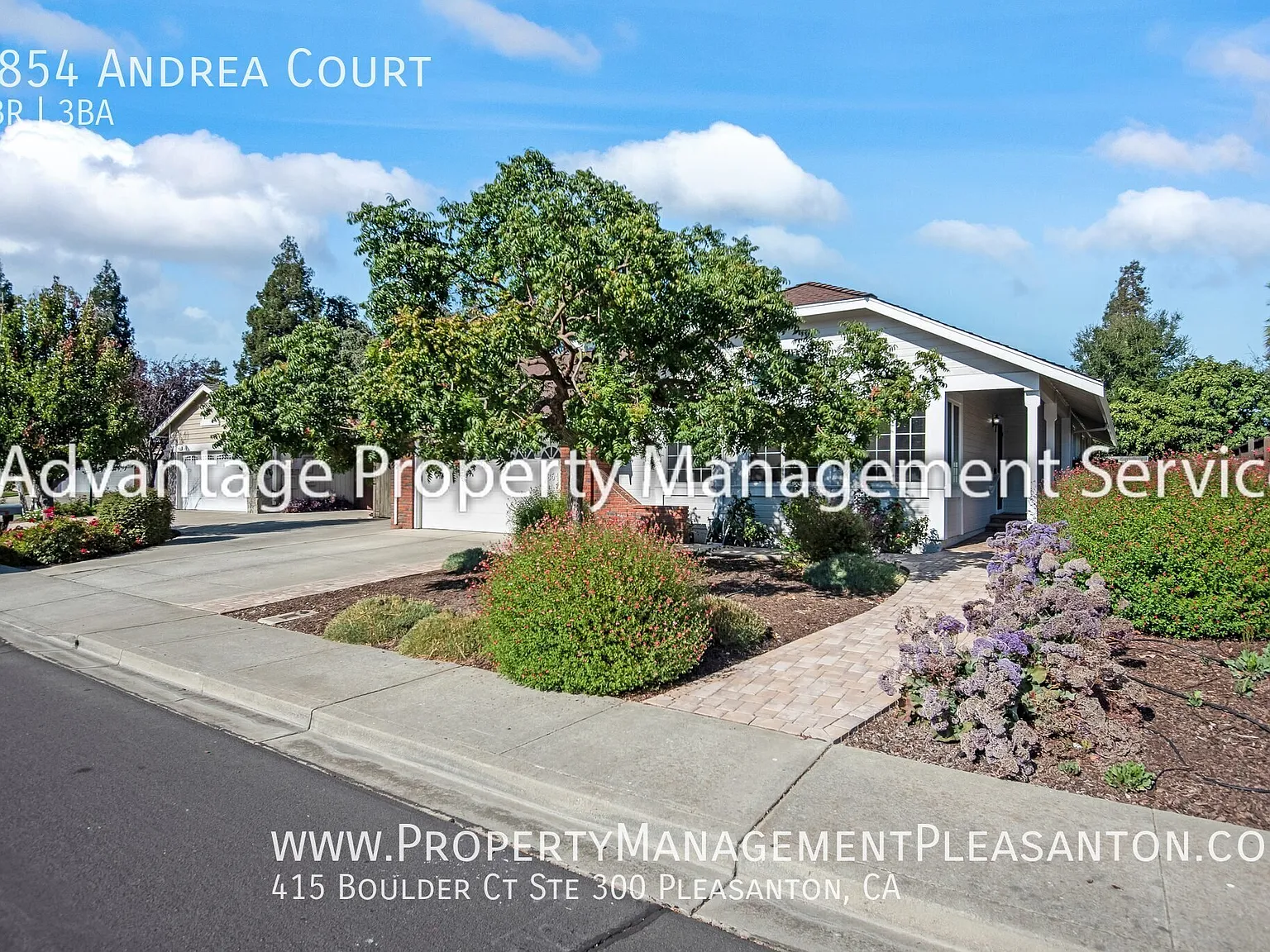 Single Story 4 Bed, 3 Bath, 2,041 sq ft home — Photo 2