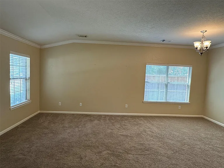 21307 Springbrook Hollow Ct — Photo 7