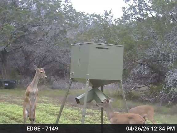 4th image of TRACT 2 Elm Pass