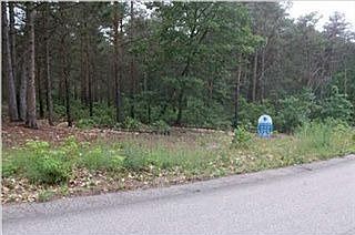 2nd image of 1348 Amelanchier Ln