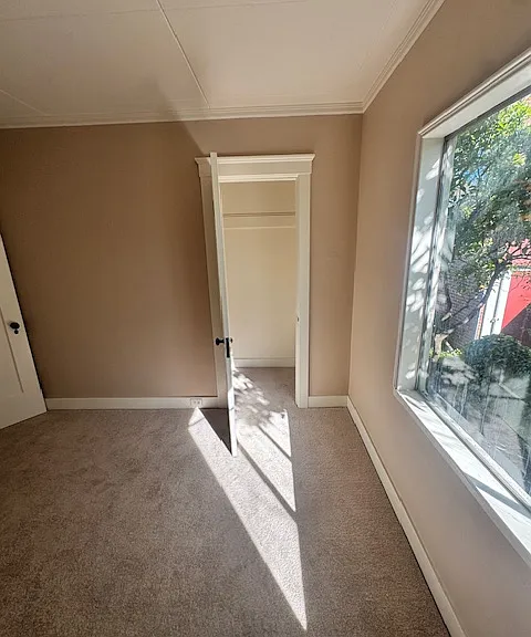 365 Edwards St — Photo 8