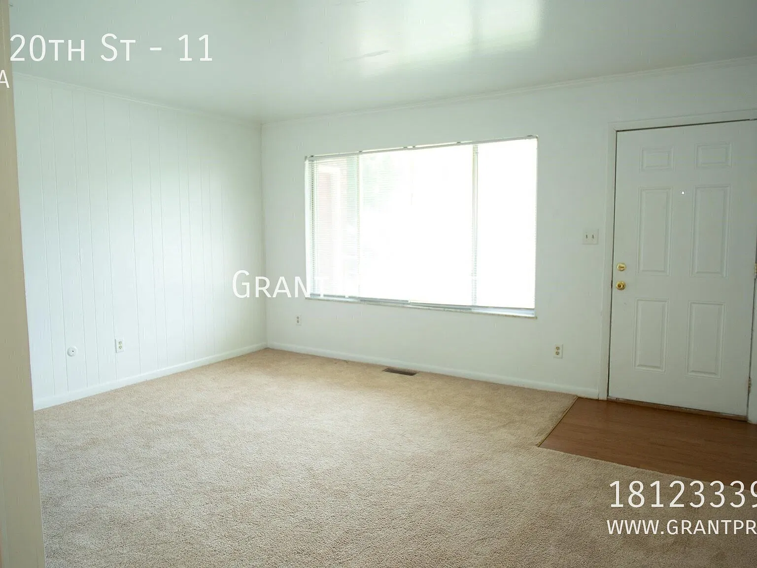 301 — Photo 4