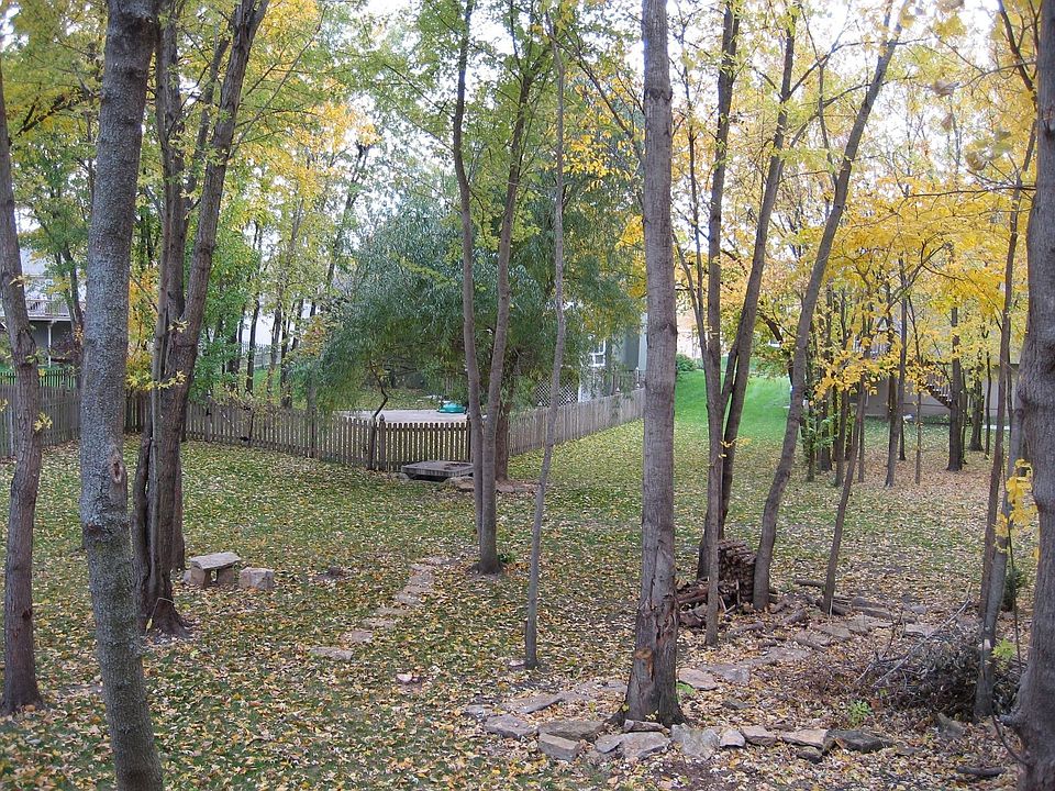 View from Deck