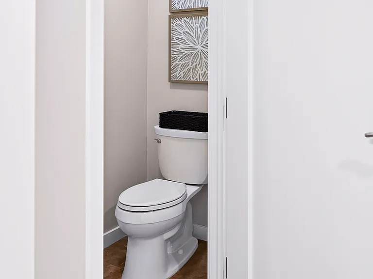 Master Bathroom - Separate Toilet Area