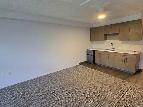 Wet bar and Mini fridge