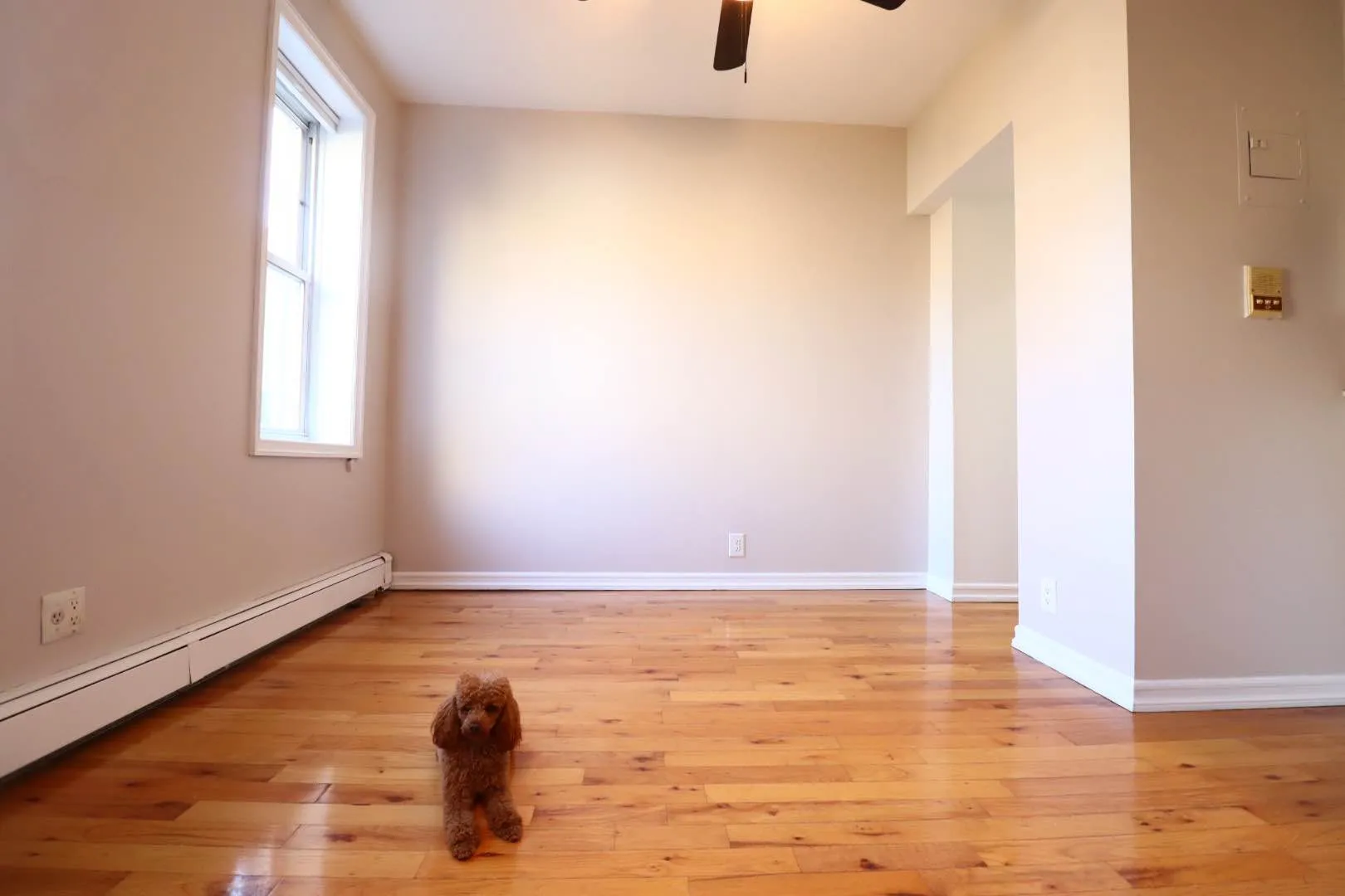 81 Waverly Avenue #1B in Clinton Hill, Brooklyn | StreetEasy