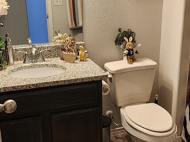 12257 Desert Snow Ct — Photo 11