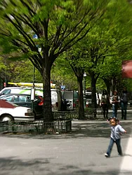 Rented by Bohemia Realty Group