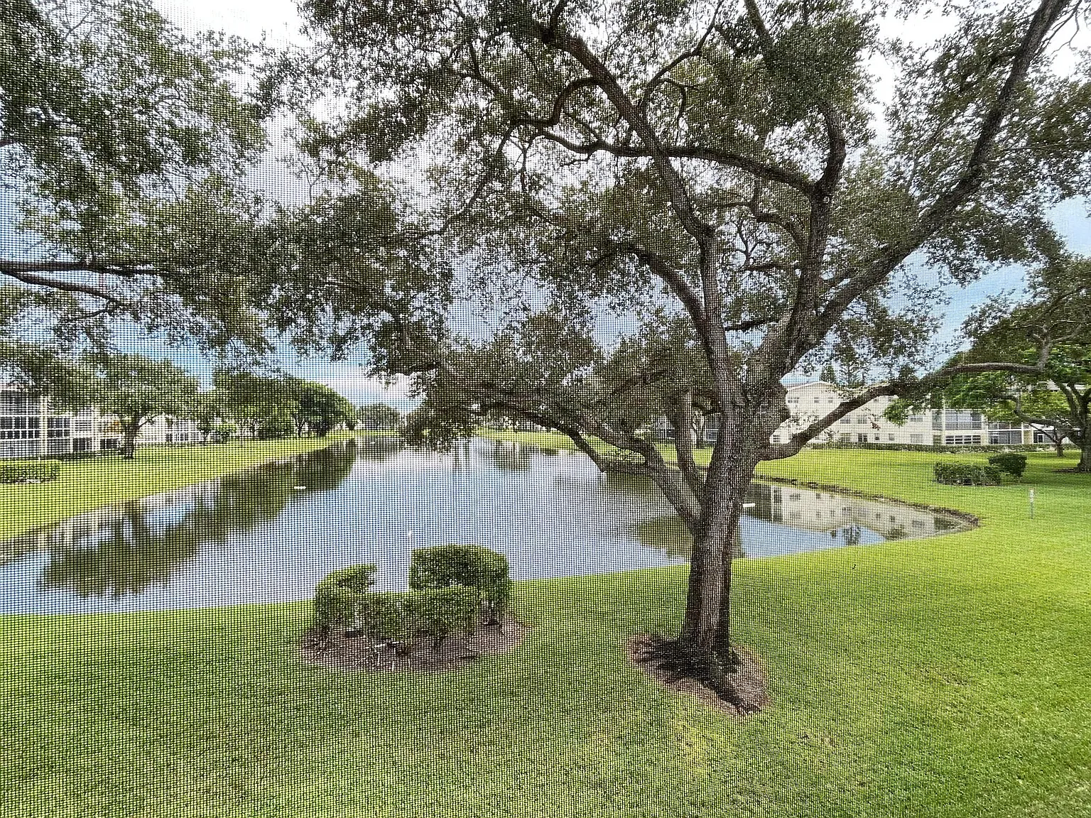 1 bed, 1.0 bath, 600 sqft, $1,500 — Photo 1