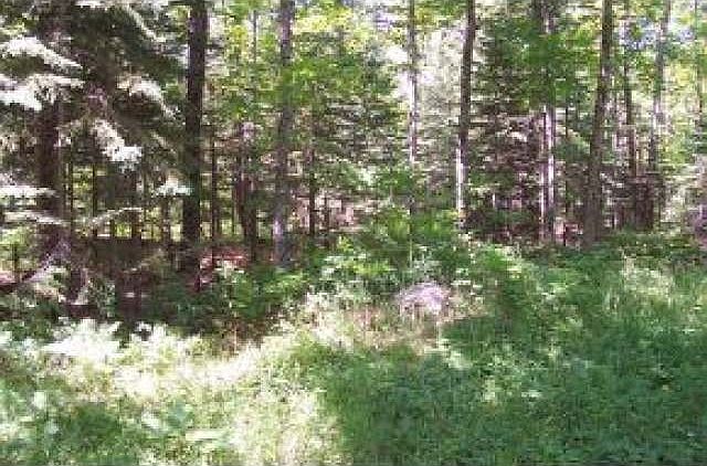 1st image of On Old Highway 45