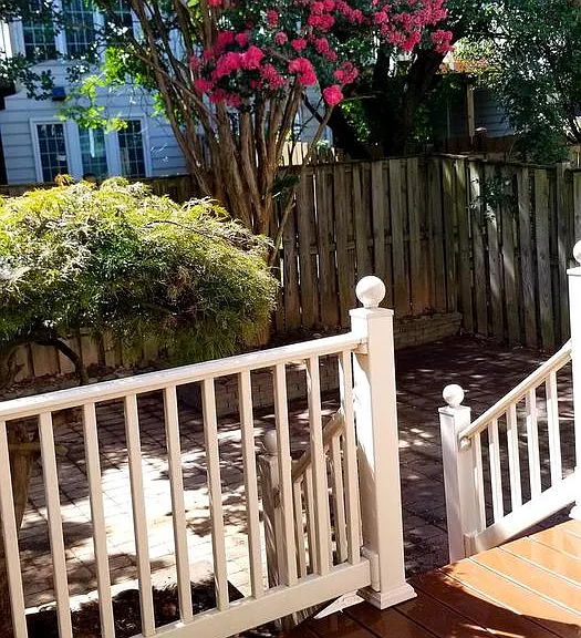464 Winding Rose Dr — Photo 35