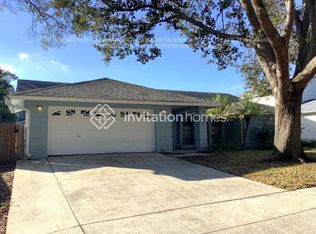2716 Briarpatch Dr, Valrico, FL 33596