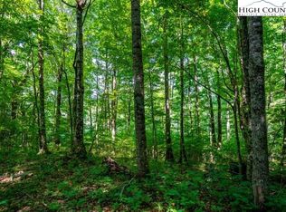 33 Marta Ln, Zionville, NC 28698