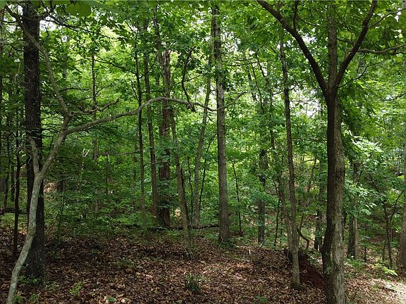 3rd image of Cairn Ln #16