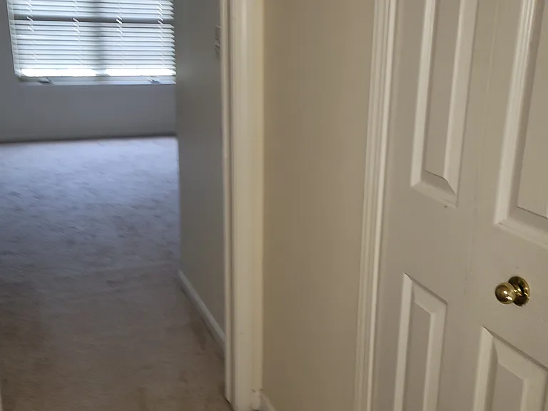 5689 Versailles Ave — Photo 51