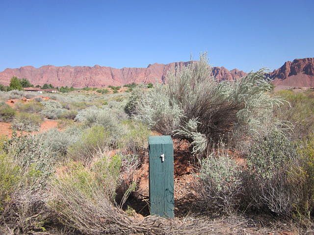 2nd image of 1312 Willow Springs Way #Lot #1