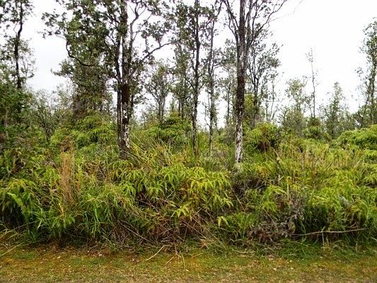 2nd image of Menpachi St Lot 18
