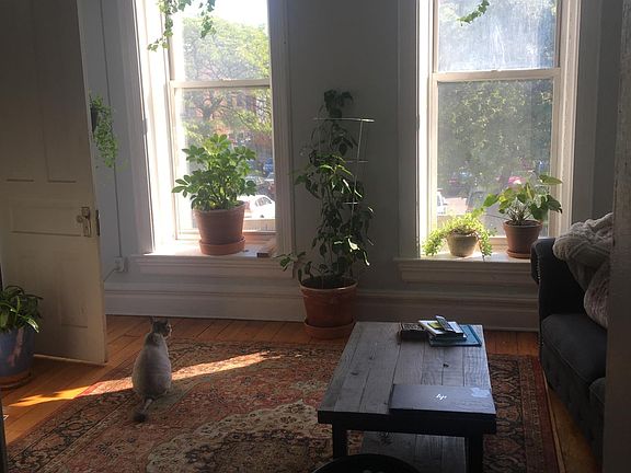 5th image of 1136 N Milwaukee Ave APT 2F