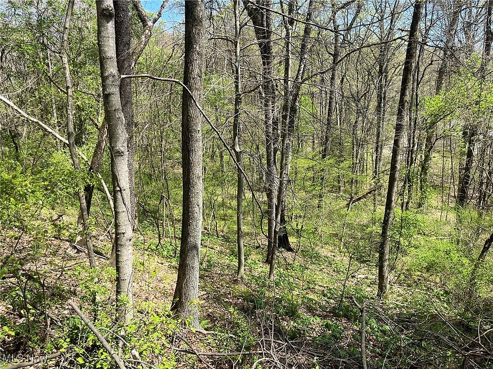 2nd image of Lakeview Dr