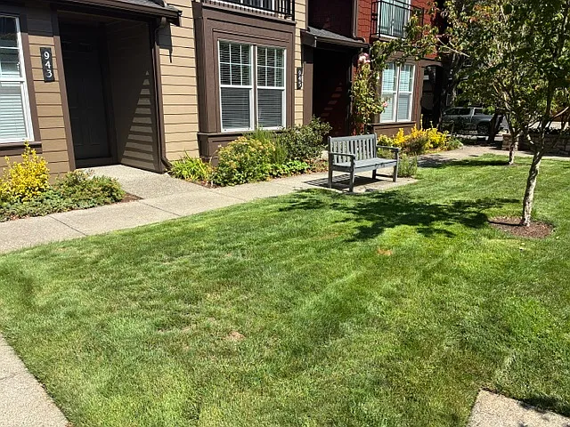 2 bed, 1168 sqft, $2,195 — Photo 3