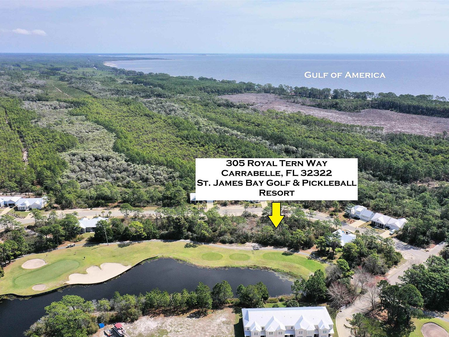 305 Royal Tern Way
