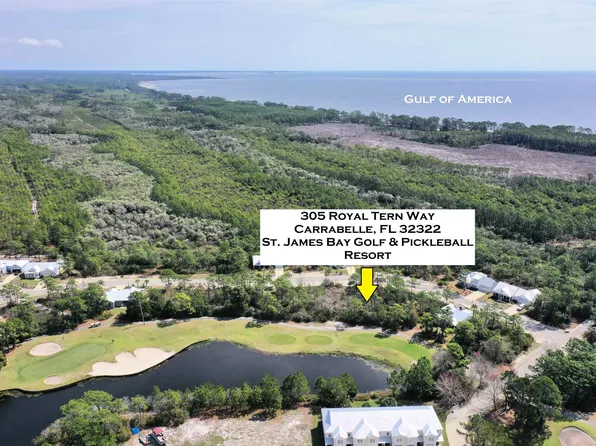 305 Royal Tern Way, Carrabelle, FL 32322