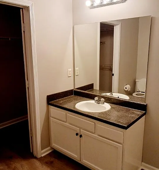 7040 Branch Crossing Way — Photo 11