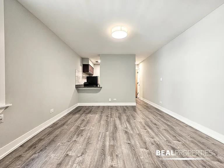 445 W Barry — Photo 28