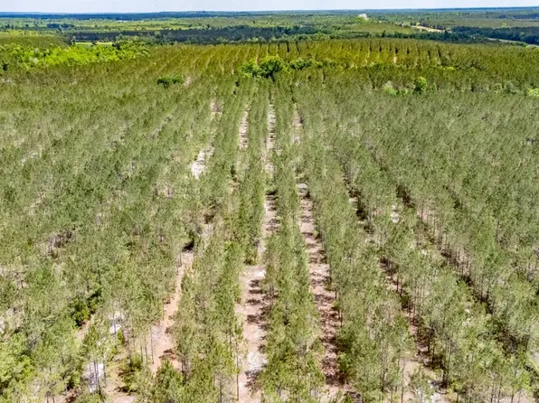 Xx1 Church St, Marianna, FL 32448