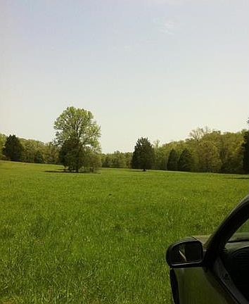 5th image of 100 Cedar Tree Ct