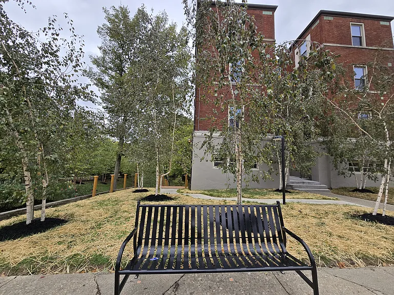 342 Forest Ave #C1 — Photo 32