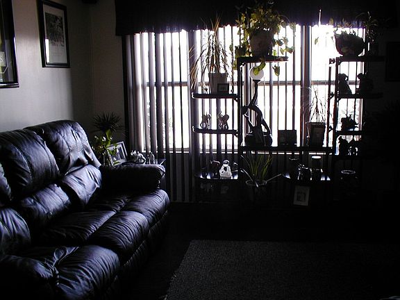 Nice Living Room