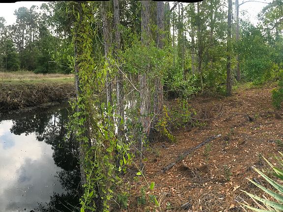 Fishing in the back yard.