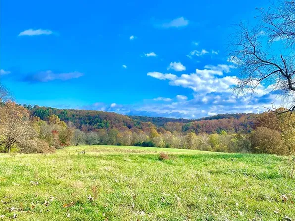0 Steam Hollow Dr Tract 47, Licking, MO 65542