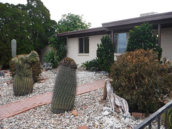 4th image of 7834 E Poinciana Dr