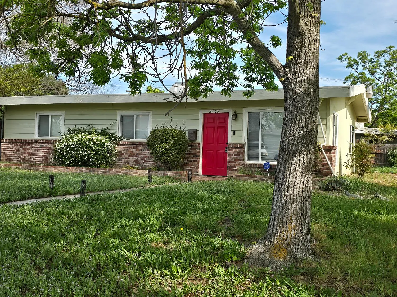 2469 Fernandez Dr photo 1