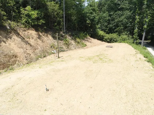 90 Cline Branch Rd, Bryson City, NC 28713