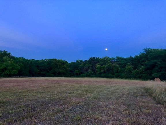 Central West Side Clearing
